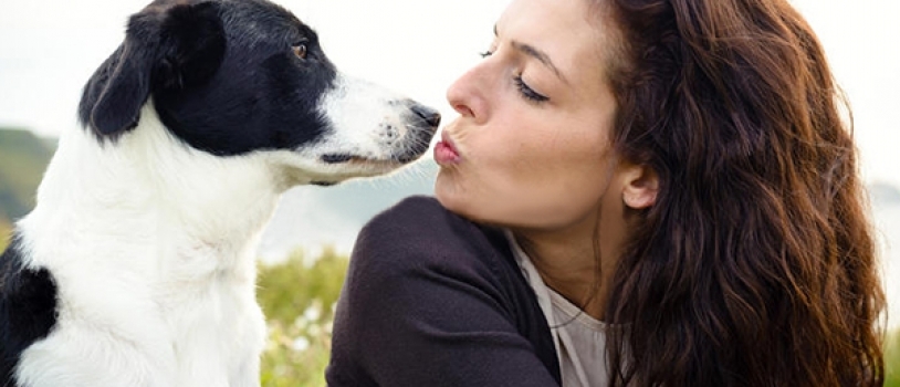 Malattia parodontale: è possibile la trasmissione tra cane e uomo?